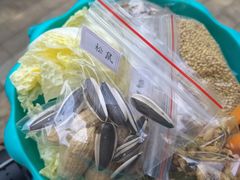 -王府井奥莱棋盘山小镇