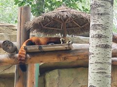 -北京野生动物园