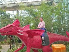 -沈阳植物园