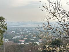 -上海佘山国家森林公园西佘山园