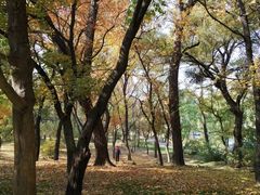-二一九公园