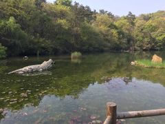 -天目湖山水园
