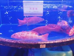 -榕港名轩(天禧店)