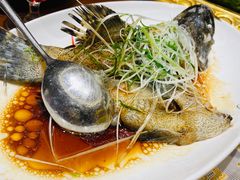 -紫阳海鲜楼·传承闽味(长乐路总店)
