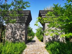 -广富林郊野公园