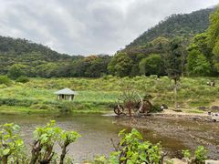 -广州市石门国家森林公园