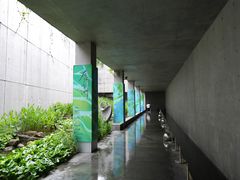 -中国湿地博物馆
