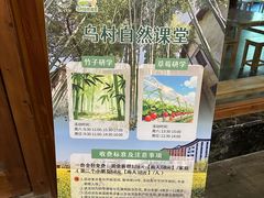 -乌村