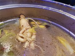 -千岛蚝高压锅生蚝·人参火锅(白云万达店)