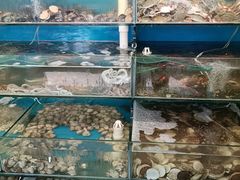 -仙螺岛海鲜自助餐厅(总店)