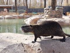 -北京野生动物园