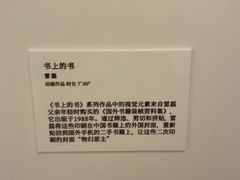 -武汉光谷K11
