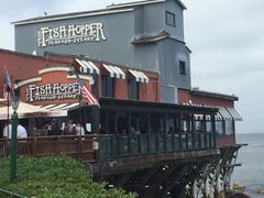 Fish&nbsp;Hopper-Fish Hopper