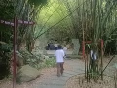-东部华侨城