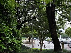 -上海千禧海鸥大酒店