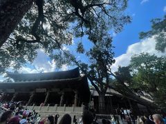 -晋祠公园