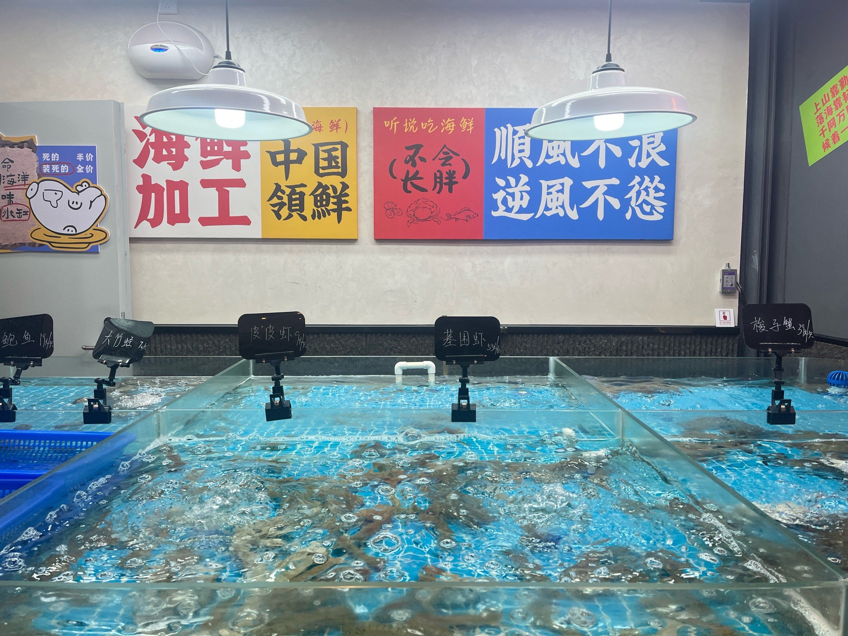 武汉首店)」

92 佳肴菜名:「黄油焗梭子蟹」在门口的海鲜池就