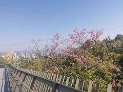 -福道