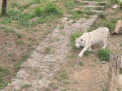 -石家庄市动物园