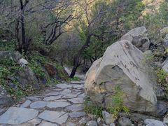 -阳台山自然风景区