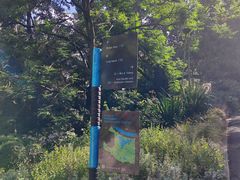 -墨尔本皇家植物园