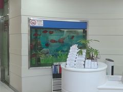 -雅悦齿科(顾村公园店)