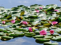 -北京雁栖湖国际会展中心