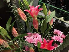 -旺顺阁·北京菜(北辰上品+)