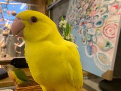 -吾叁·吉趣鸟咖(万科店)