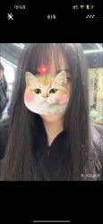 -無名发艺