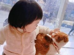-飞行喵MR PILOT|猫舍·猫咖(静安大融城店)