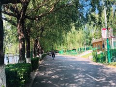 -长白岛森林公园