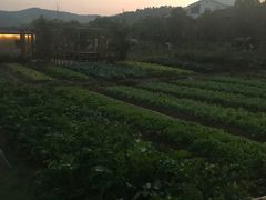 -石塘人家