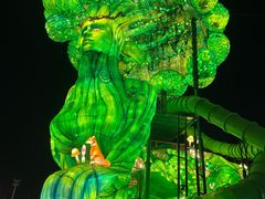 -淄博花灯齐彩城