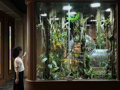 -帕帕拉兹宠物(亚洲旗舰店)