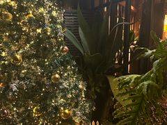 -一棵树·意大利西餐厅One Tree(新城店)