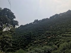 -西湖风景区十里琅珰-五云山