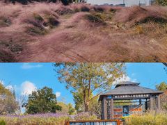 -上海山野camping·户外天幕烧烤·团建拓展营地