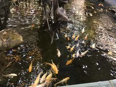 -大天然酒店(军民路店)