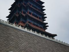 -永定河休闲森林公园