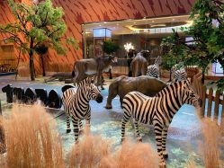 点击看大图 -卡通尼·Safari非洲探索乐园·生日会(金桥国际商业广场店)