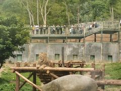 -泉州海丝野生动物世界