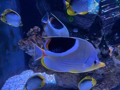 -成都浩海立方海洋公园