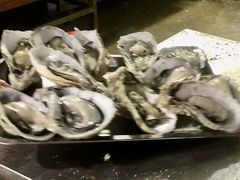 -蚝专家(北滘店)