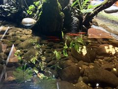 -银生食府·普洱菜(金星店)