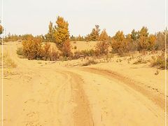 -银肯塔拉沙漠生态旅游景区