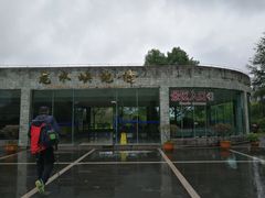 -龙水峡地缝景区