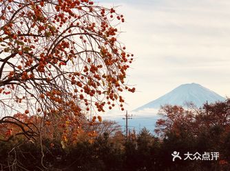 從東京坐大巴過來的，東京站可以直接坐到河口湖
