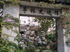 -亭林公园