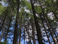 -驼梁风景区